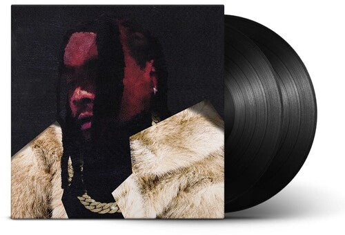 Wale: Everything Is A Lot. - VINYL LP