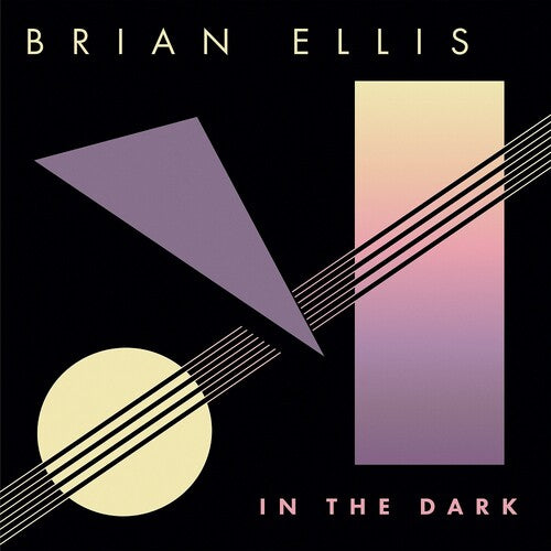 Brian Ellis: In The Dark - VINYL LP