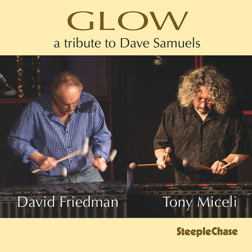 David Friedman: Glow - COMPACT DISCS