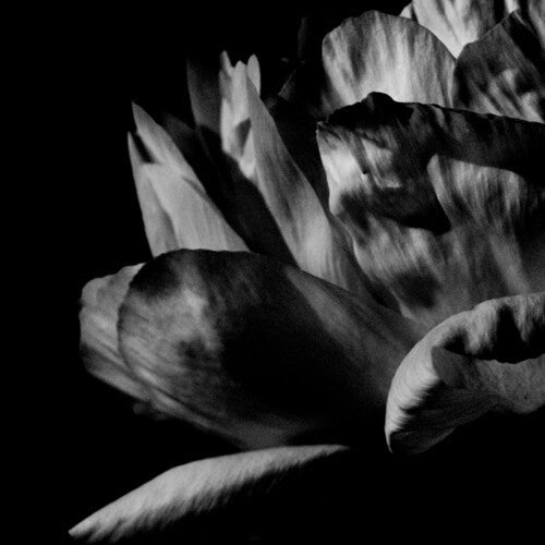 Louise Roam: La Ou Passe La Nuit - COMPACT DISCS