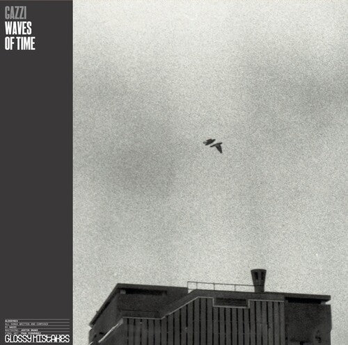 Gazzi: Waves Of Time - VINYL LP