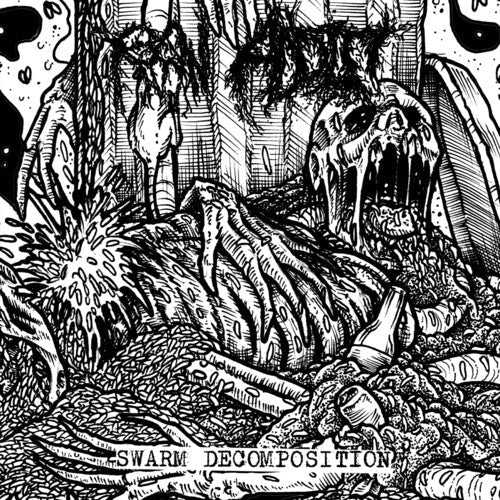 Raw Addict: Swarm Decomposition - COMPACT DISCS