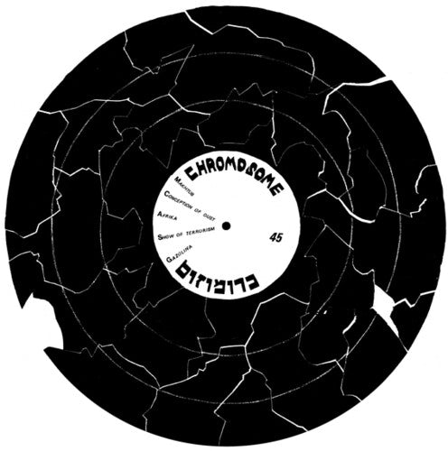 Chromosome: Chromosome - 12-INCH SINGLE