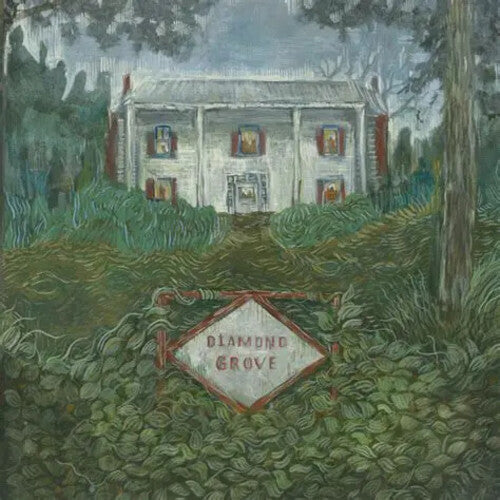 Weirs: Diamond Grove - VINYL LP