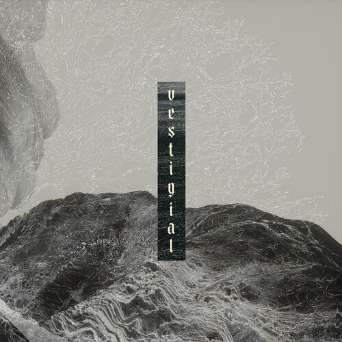 Vestigial: Descending Vastness - COMPACT DISCS