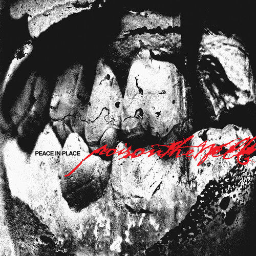 Poison the Well: Peace In Place - COMPACT DISCS