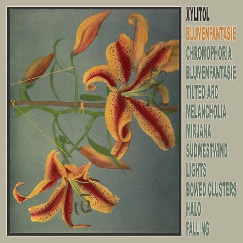 Xylitol: Blumenfantasie - VINYL LP