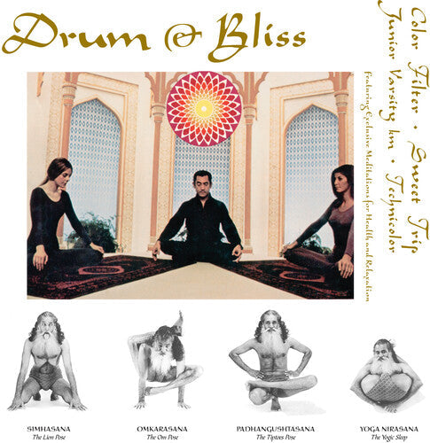 Various Artists: Drum & Bliss (Various Artists) - 12-INCH SINGLE