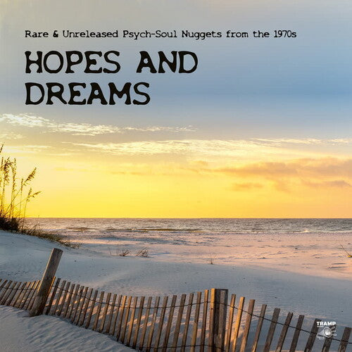 Various Artists: Hopes And Dreams: Rare & Unreleased Psych-Soul Nuggets from the 1970s - VINYL LP