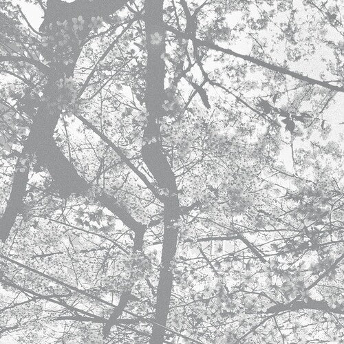 Black Rain: Obliteration Bliss - COMPACT DISCS
