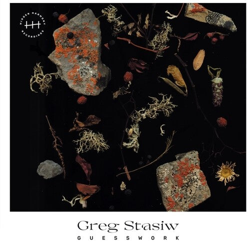 Greg Stasiw: Guesswork - VINYL LP