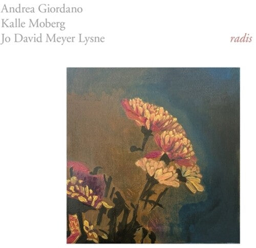 Giordano, Andrea / Moberg, Kalle: Radis - VINYL LP