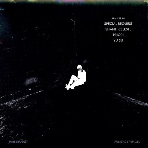 Hayes Bradley: Audience (Remixed) - 12-INCH SINGLE