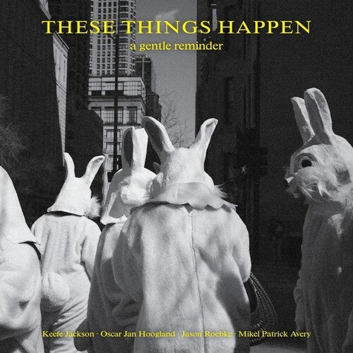 These Things Happen: A Gentle Reminder - VINYL LP