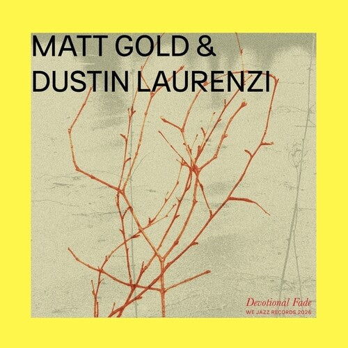 Gold, Matt / Laurenzi, Dustin: Devotional Fade - VINYL LP