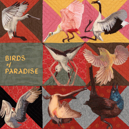 Thomas Dollbaum: Birds of Paradise - Pink - VINYL LP