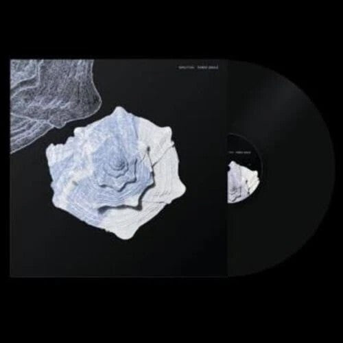 Fabio Anile: Minutiae - VINYL LP