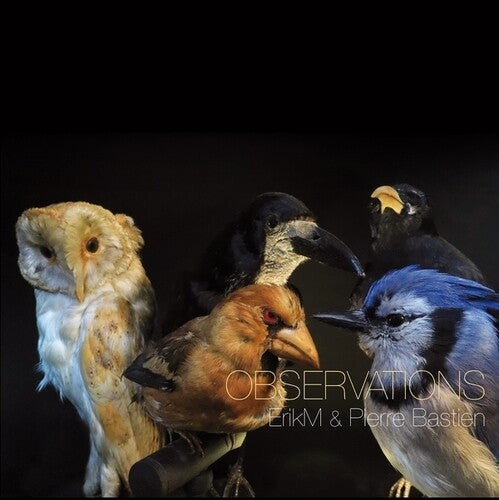 Erikm / Pierre Bastien: Observations - VINYL LP