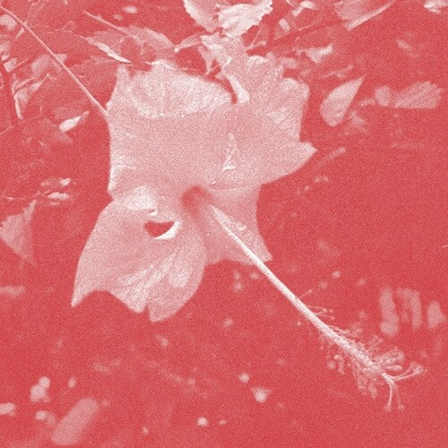 Celer: Poulaine - COMPACT DISCS