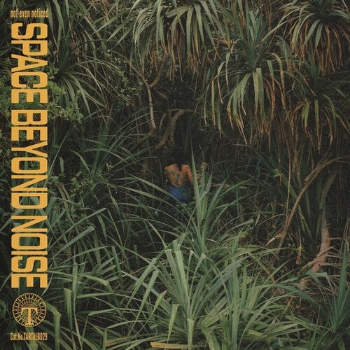 Not Even Noticed: Space Beyond Noise - VINYL LP