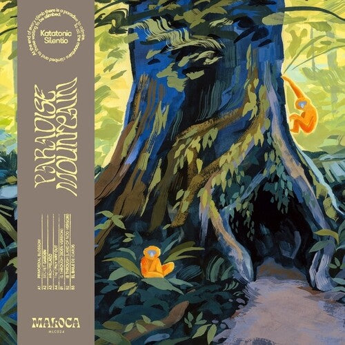 Katatonic Silentio: Paradise Mountain - VINYL LP