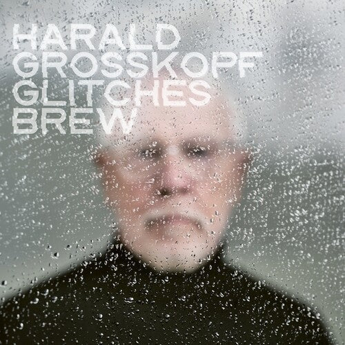 Harald Grosskopf: Glitches Brew - VINYL LP