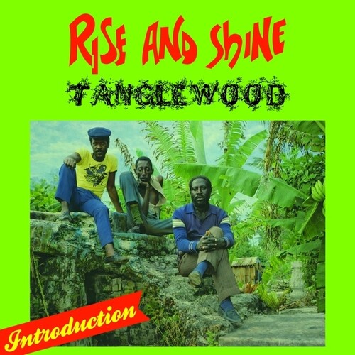 Tanglewood: Rise And Shine - VINYL LP