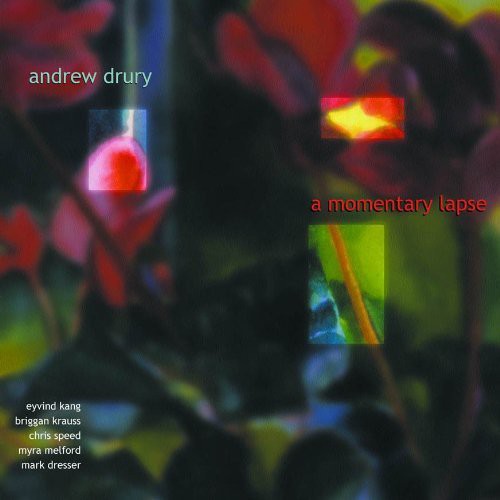 Andrew Drury: Momentary Lapse - COMPACT DISCS