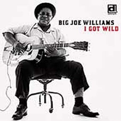 Big Joe Williams: I Got Wild - COMPACT DISCS