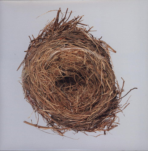 Wilco: A Ghost Is Born - VINYL LP