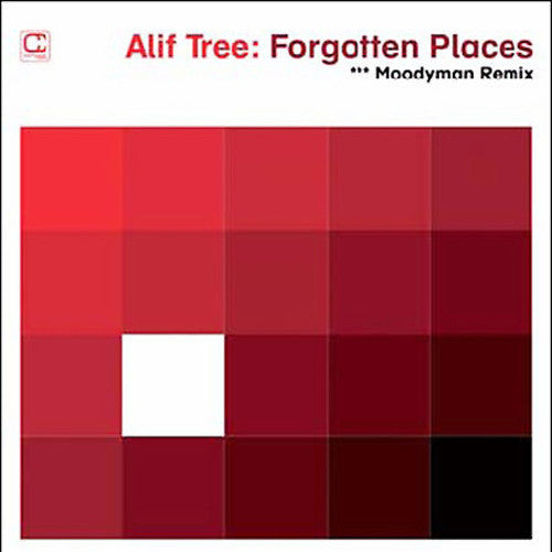 Alif Tree: Forgotten Places (Moodymann Remix) - VINYL LP