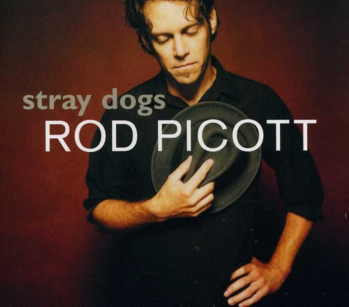 Rod Picott: Stray Dogs - COMPACT DISCS